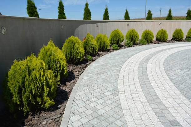 Best Cobblestone Driveway Pavers  in Smith Valley, NV